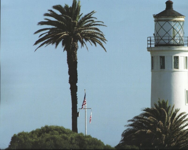 Lighthouse and Palm Tree