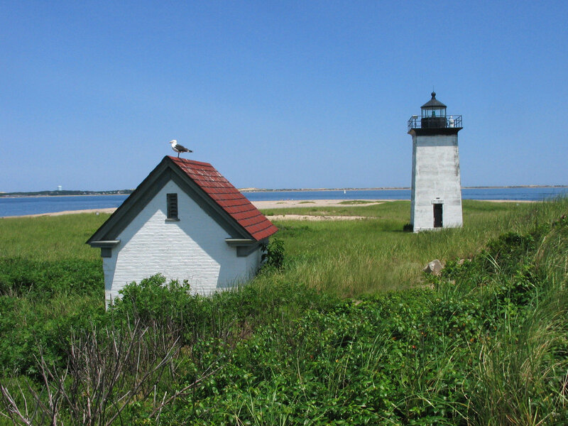 Lighthouse and seagull on a sunny day