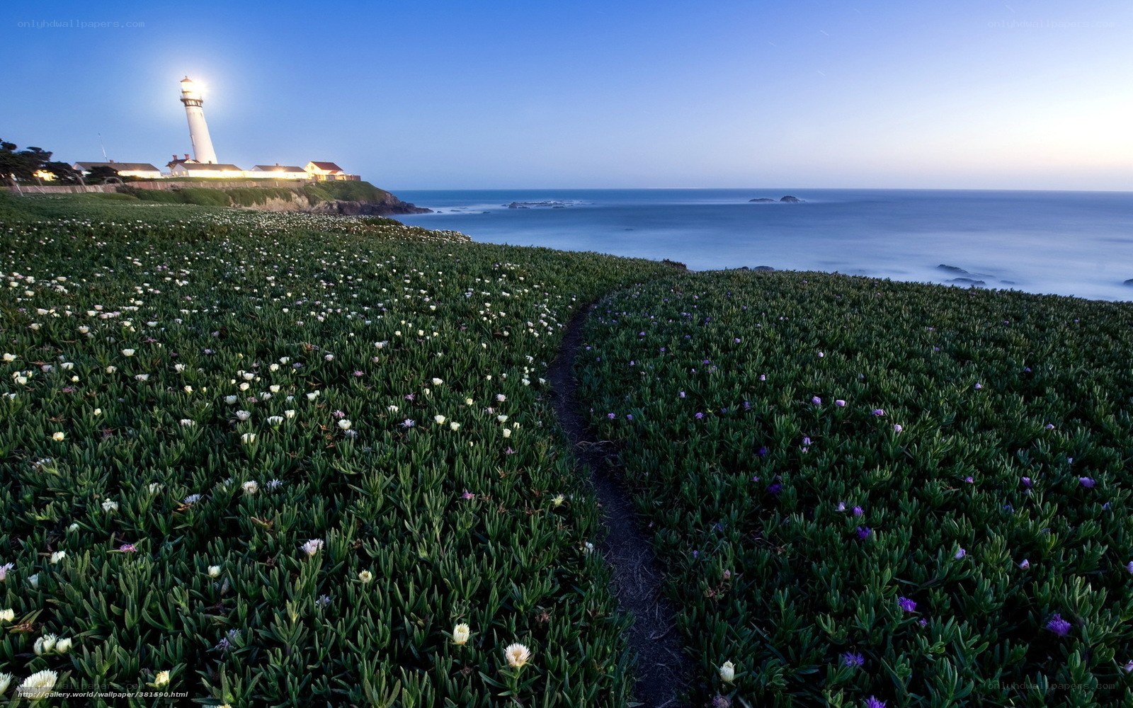 Lighthouse at dusk with wildflowers