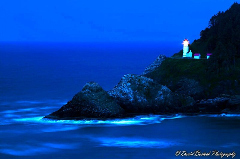 Lighthouse at night on rocky coast