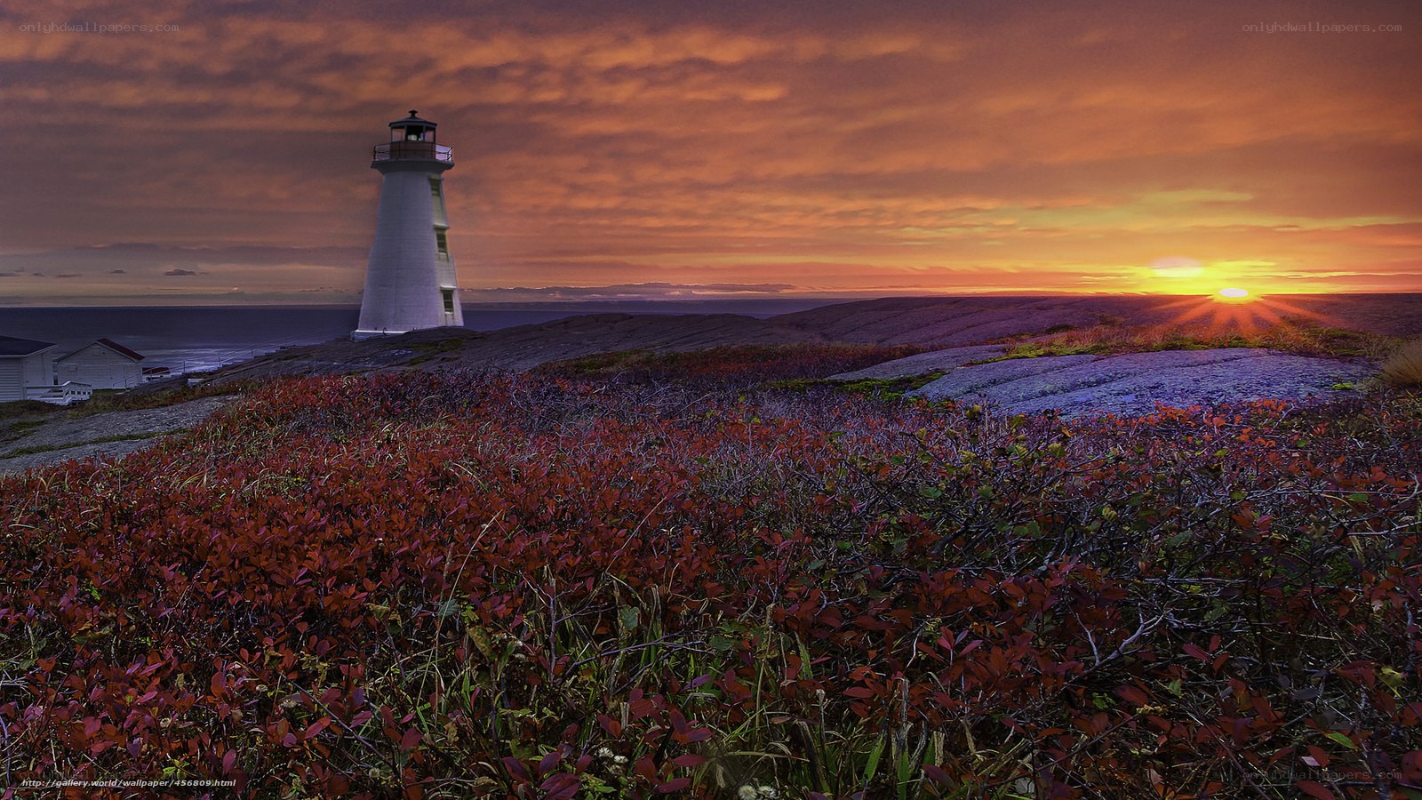Lighthouse at sunset on rocky coast