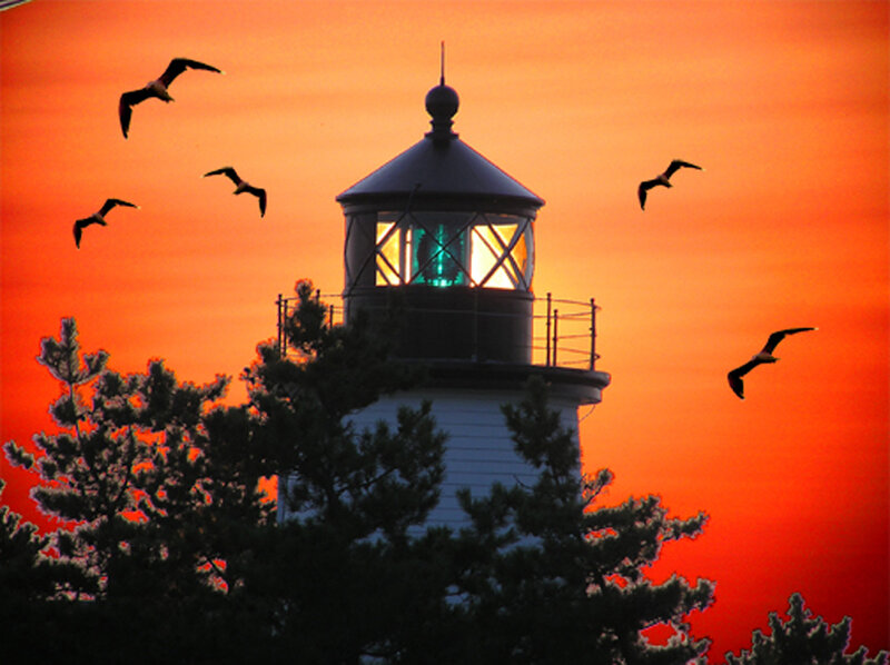 Lighthouse at Sunset — Orange, Dramatic, Photograph, Birds, Trees