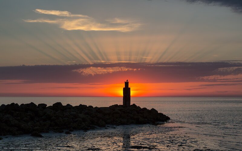 Lighthouse at Sunset — Orange, Dramatic, Photograph, Sun, Sea, Rocks, Bird