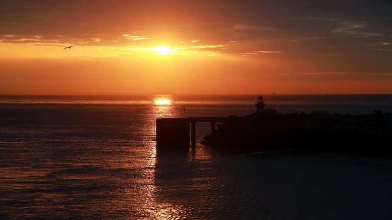 Lighthouse at Sunset — Orange, Serene, Photograph, Sun, Ocean, Bird