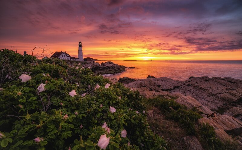 Lighthouse at Sunset — Purple, Dramatic, Photograph, Ocean, Rocks, Flowers