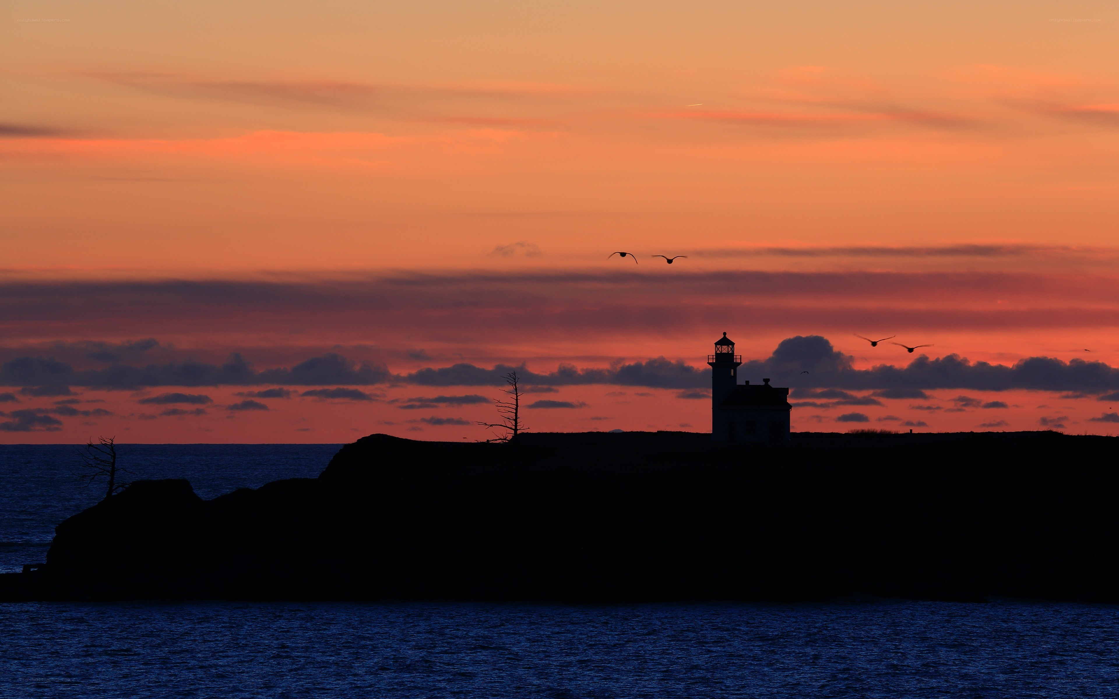 Lighthouse at sunset with birds