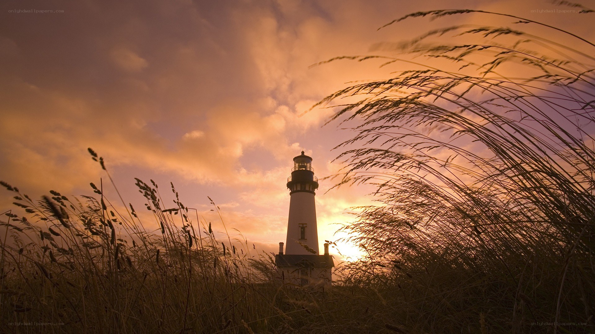 Lighthouse at sunset with grass