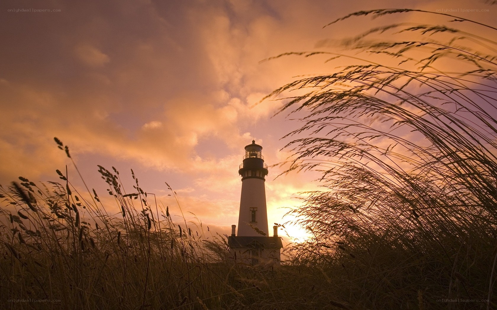 Lighthouse at sunset with grass