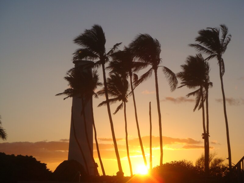 Lighthouse at sunset with palm trees
