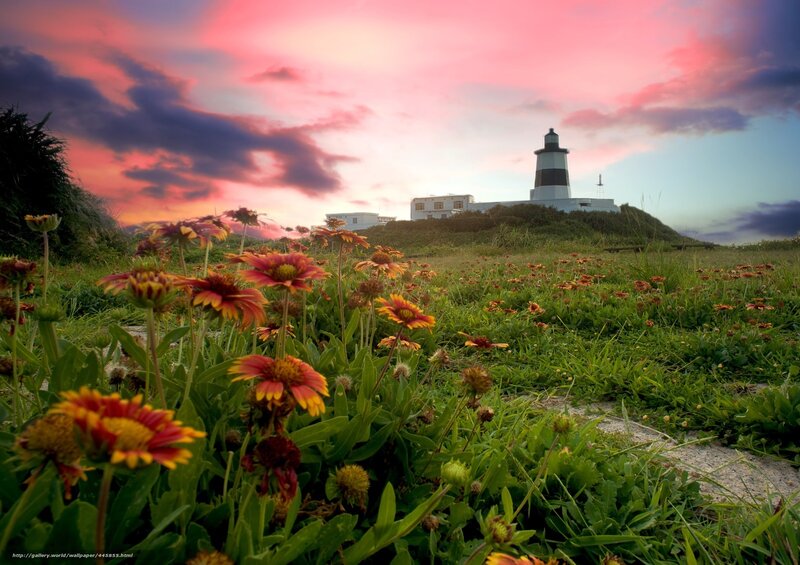 Lighthouse at sunset with wildflowers