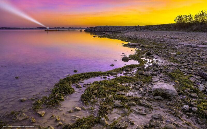 Lighthouse Beam at Sunset — Purple