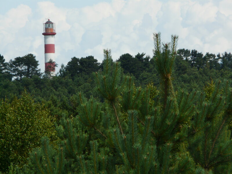 Lighthouse Behind Trees — Green