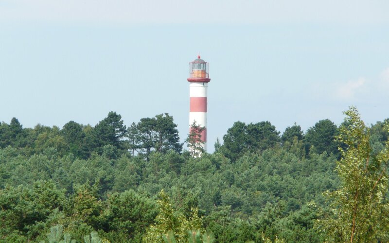 Lighthouse Behind Trees