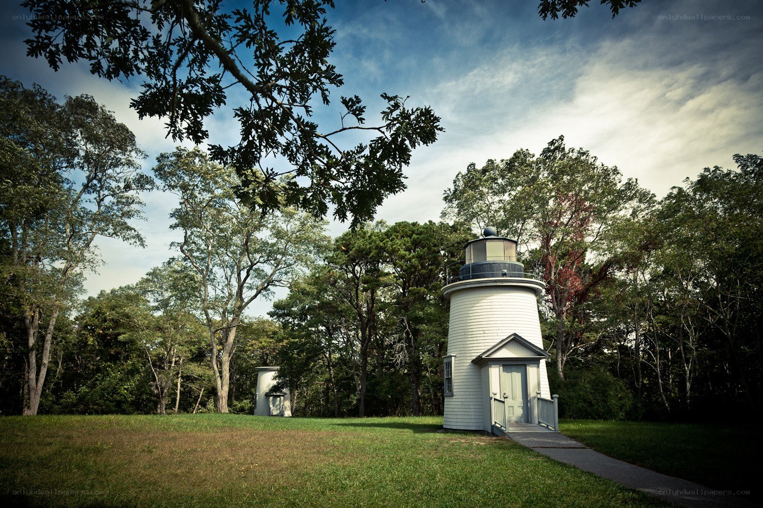 Lighthouse in a wooded area