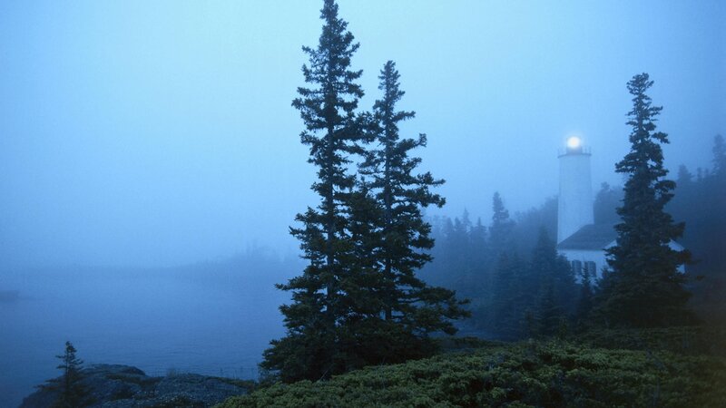 lighthouse in foggy coastal forest