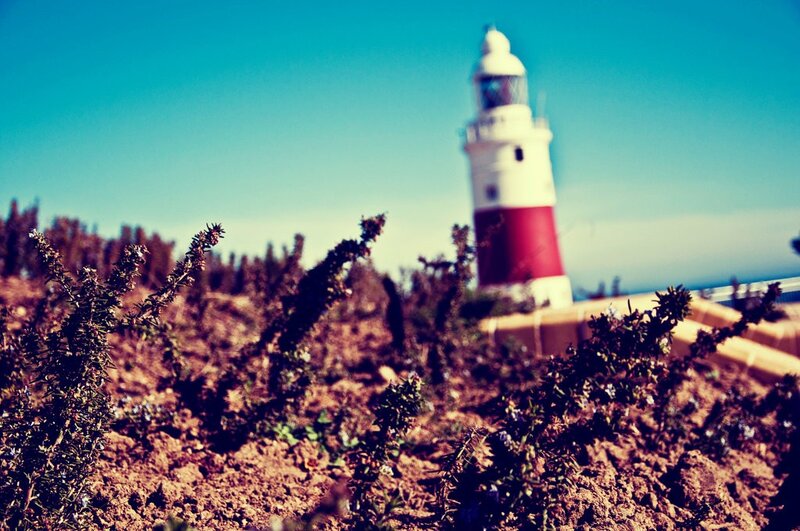 Lighthouse in Foreground