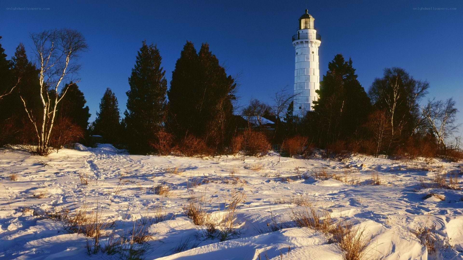 Lighthouse in snowy landscape
