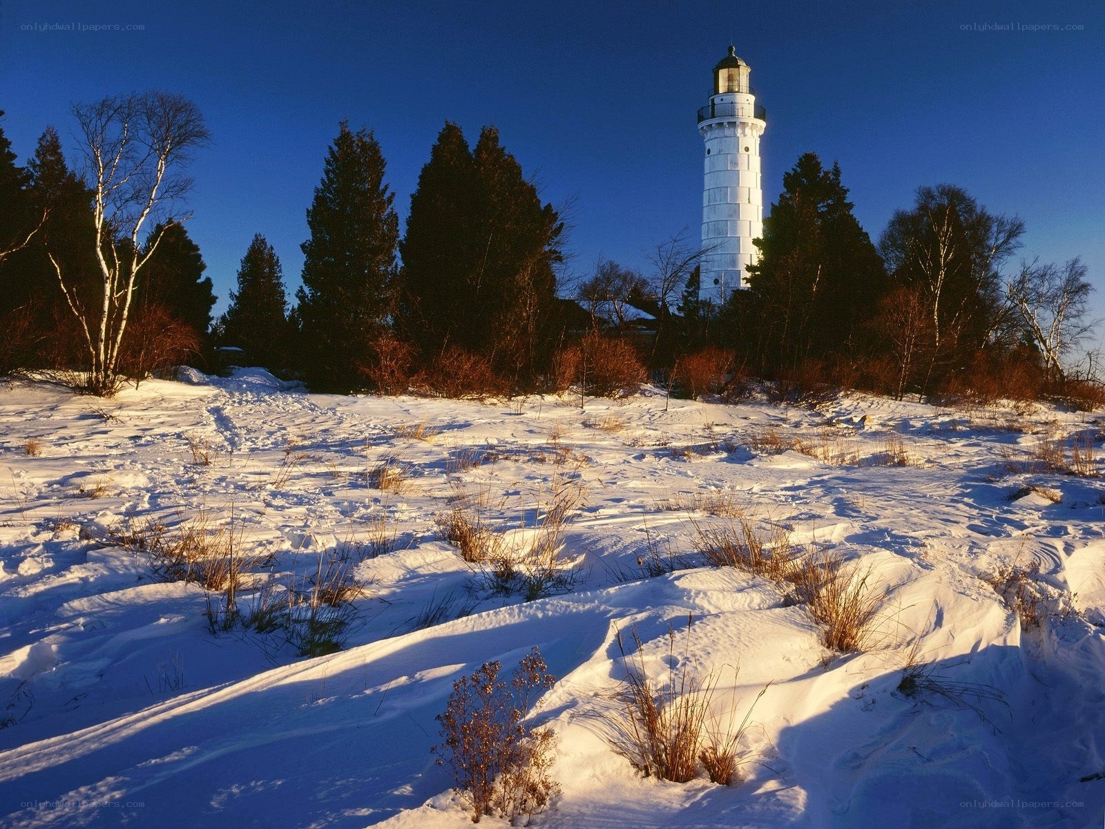 Lighthouse in snowy landscape