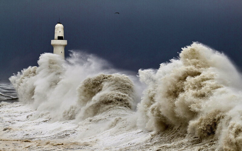 Lighthouse in Storm — White, Dramatic, Photograph, Waves, Bird