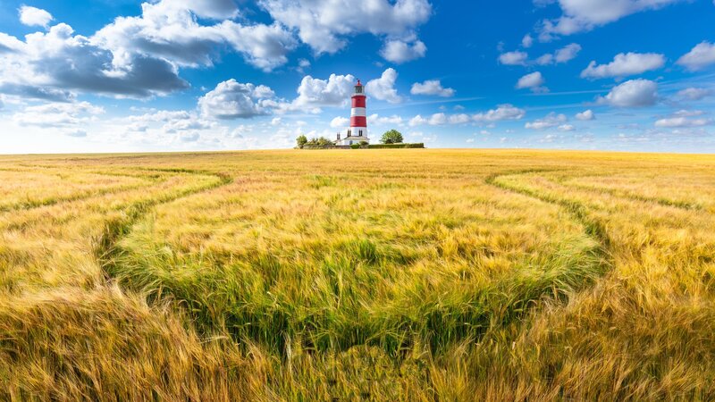Lighthouse in Wheat Field