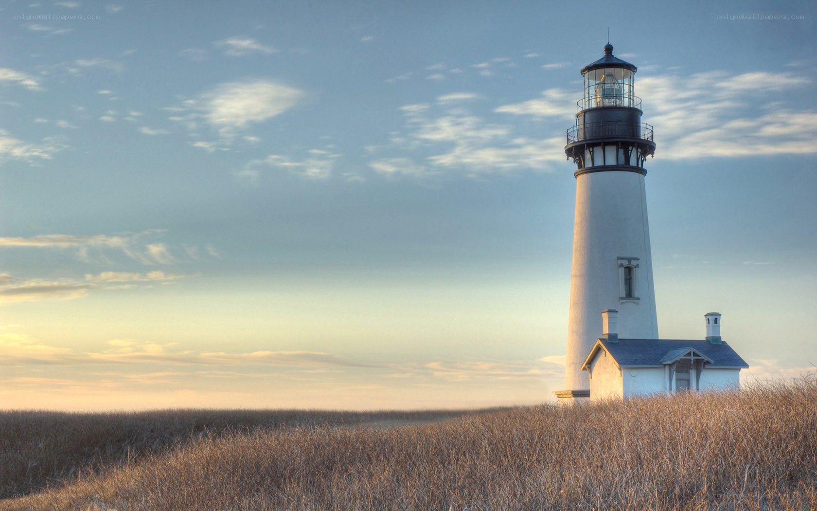 Lighthouse on a coastal field