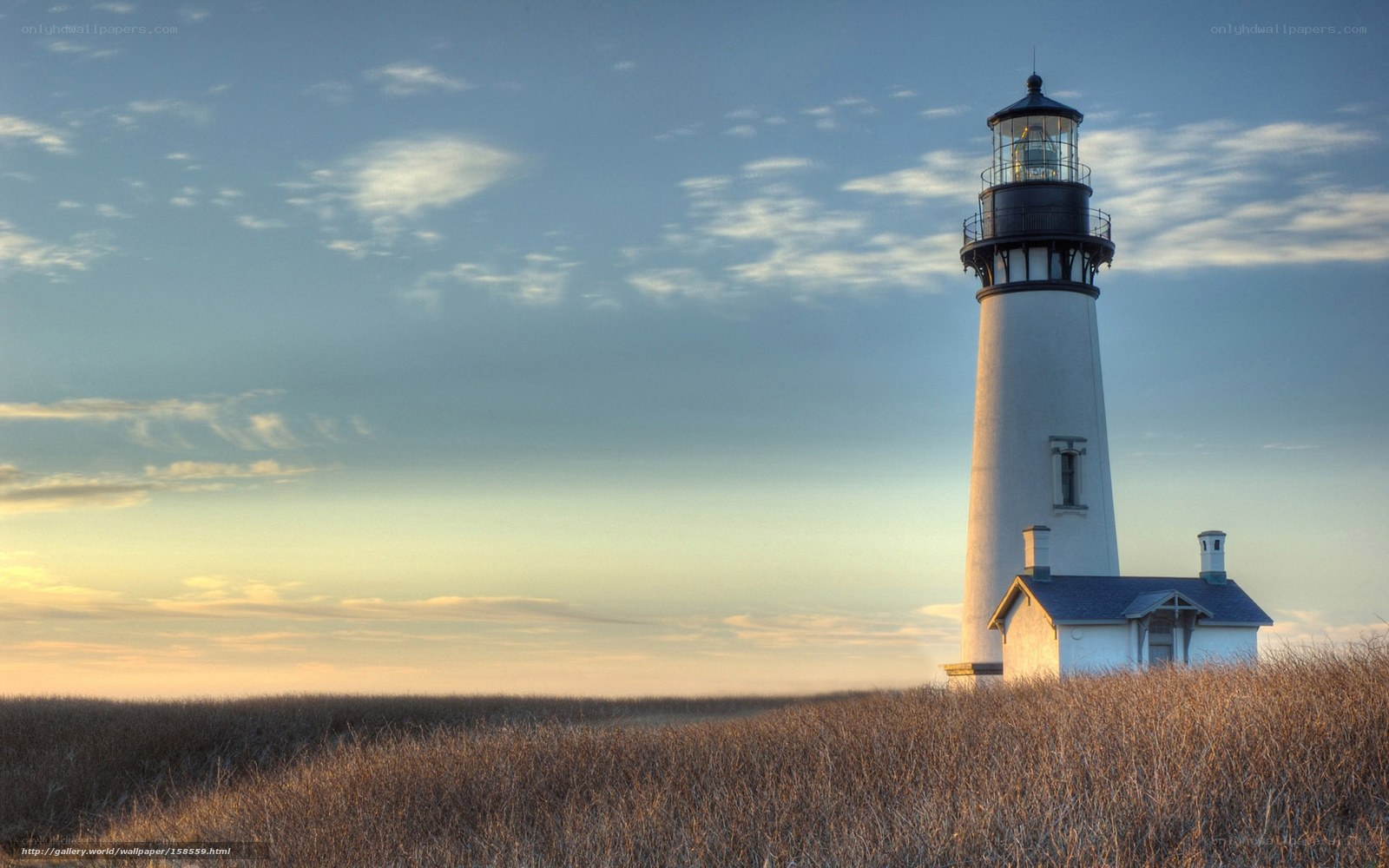 Lighthouse on a coastal field