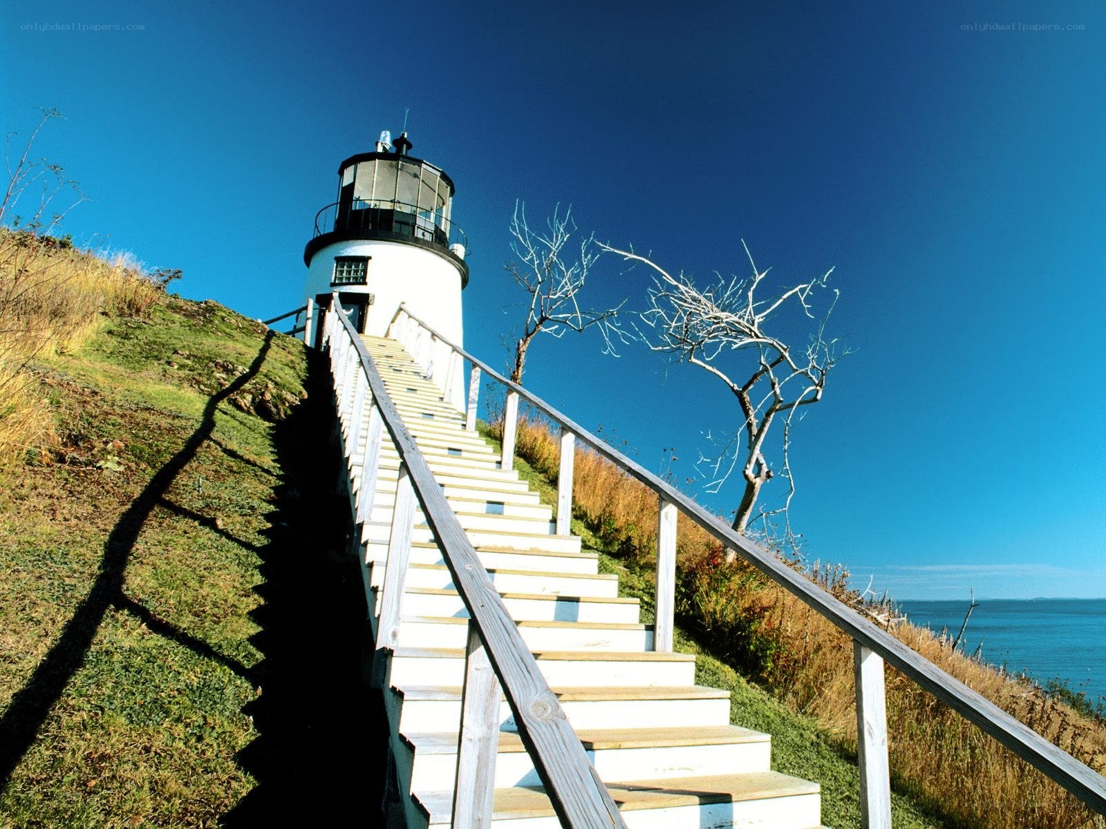 Lighthouse on a coastal hill