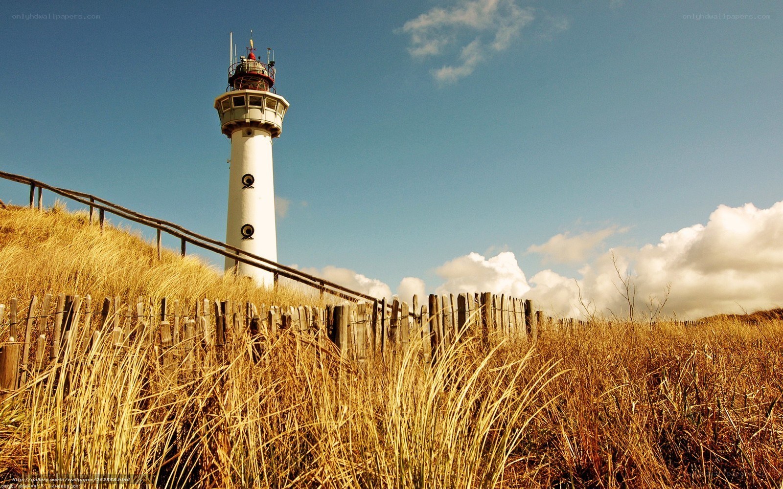 Lighthouse on a dune