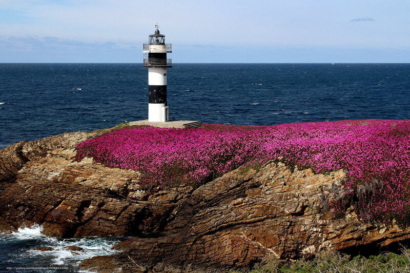 Lighthouse on a flower-covered cliff