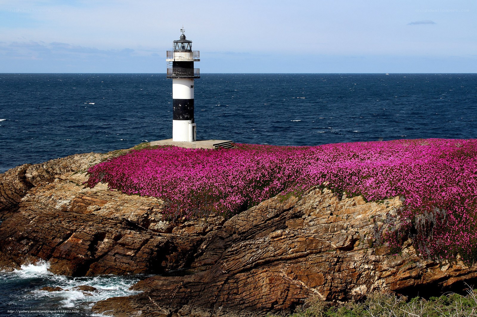 Lighthouse on a flower-covered cliff