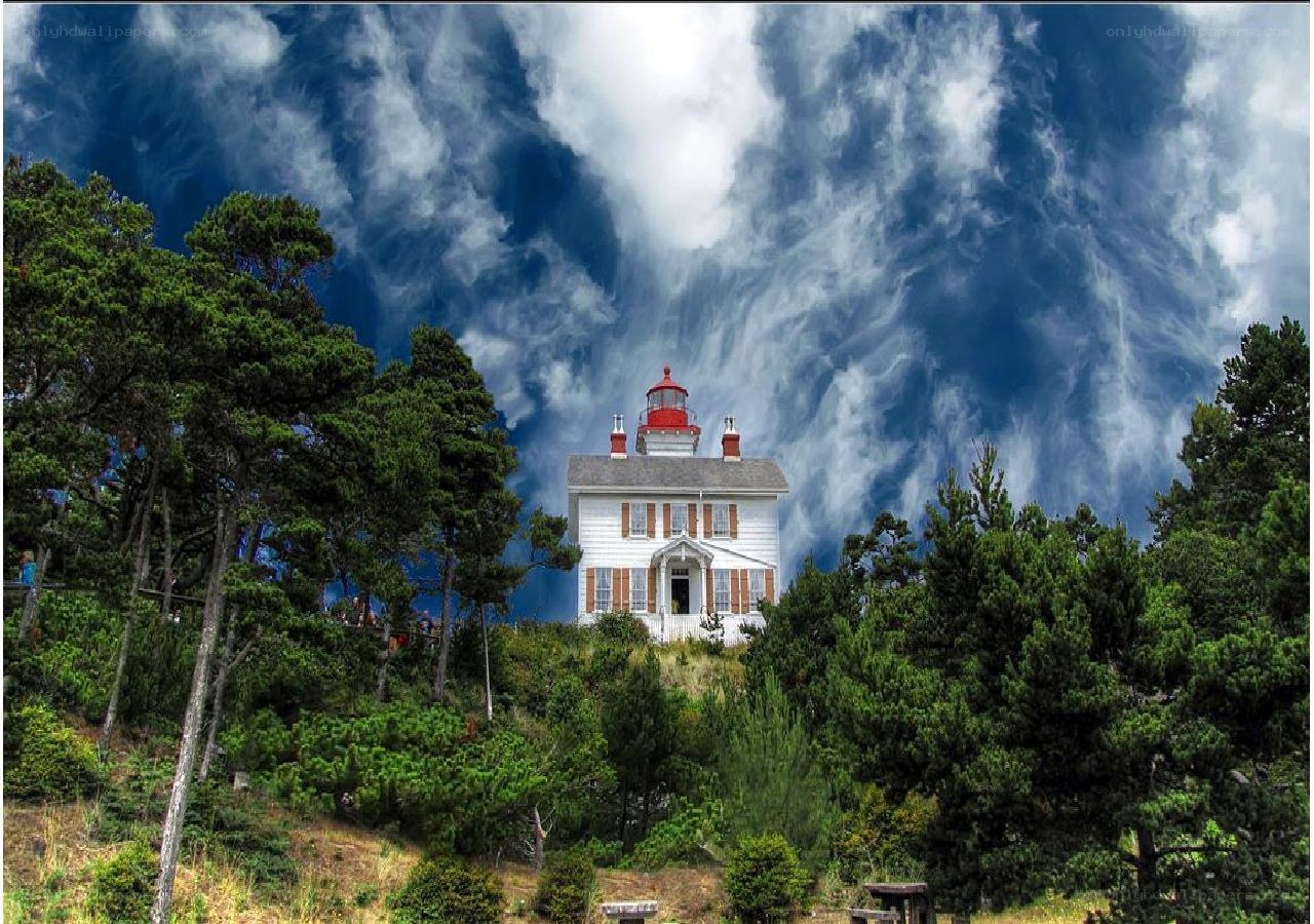 Lighthouse on a forested hill