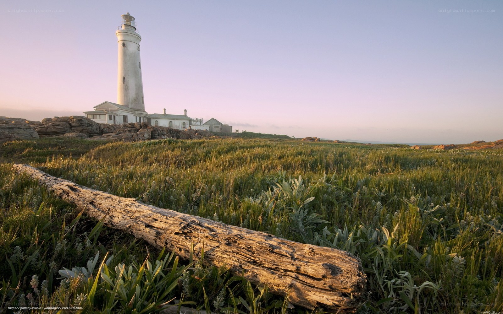 Lighthouse on a grassy coast