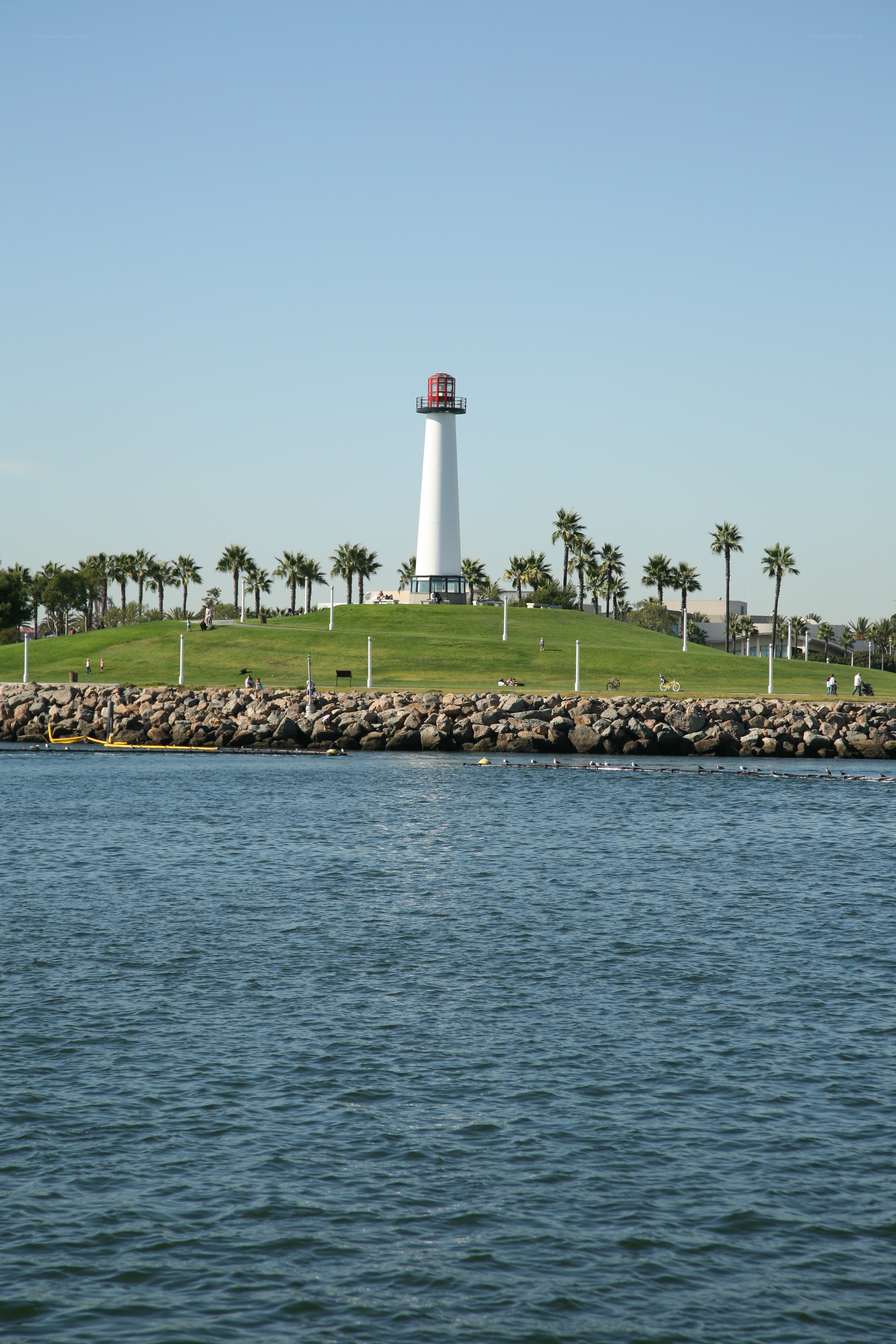 Lighthouse on a grassy hill