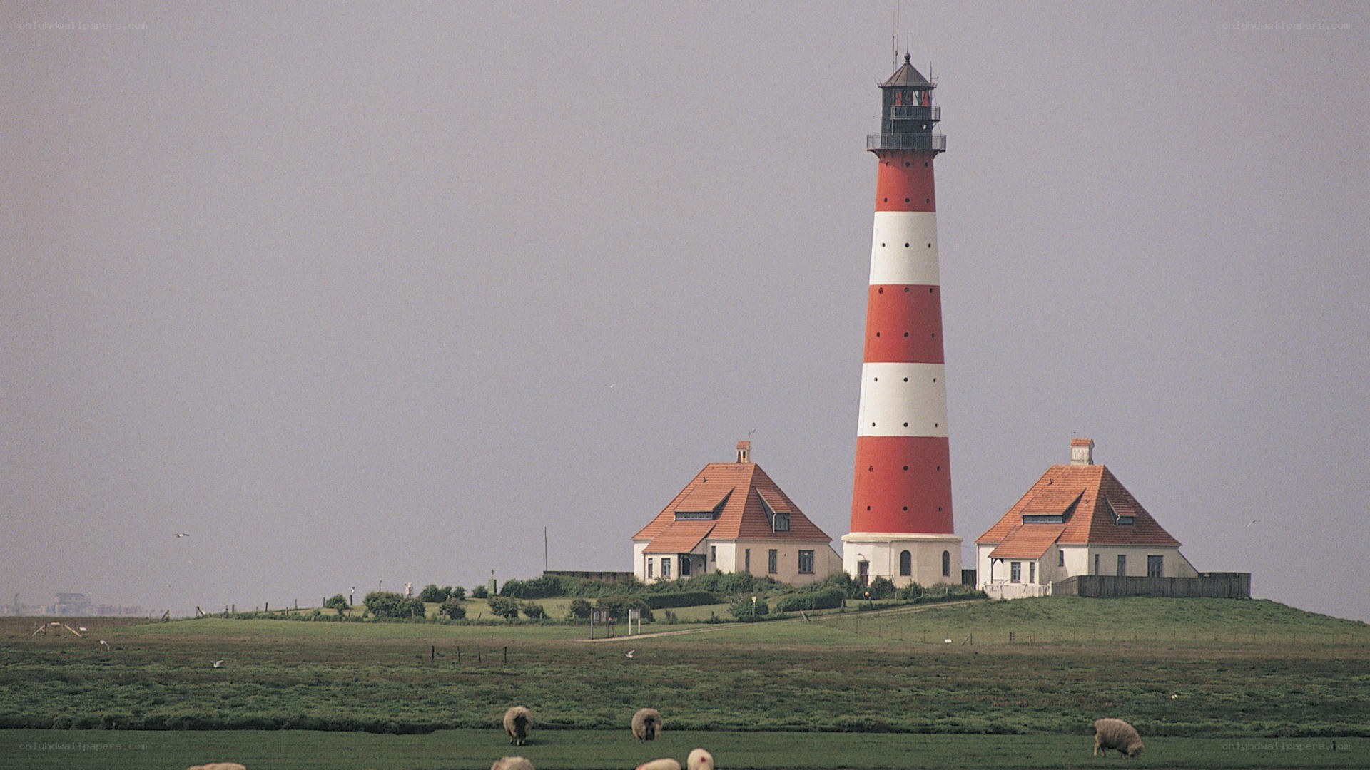 Lighthouse on a grassy hill