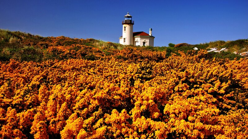 Lighthouse on a Hill — Yellow, Serene