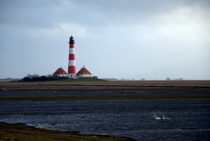 Lighthouse on a Marsh — Gray