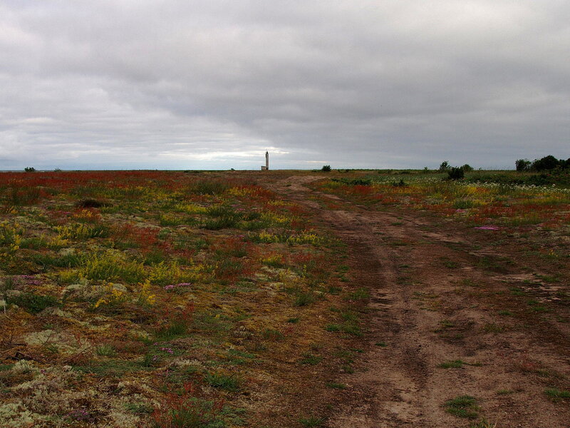 Lighthouse on a wildflower field