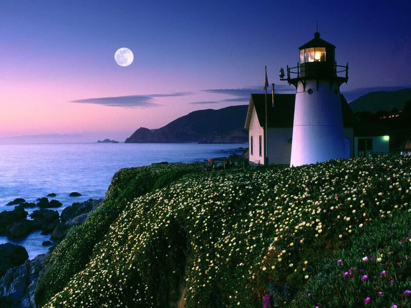 Lighthouse on Cliff — Blue, Serene, Night, Photograph, Moon, Ocean, Flowers, Mountain