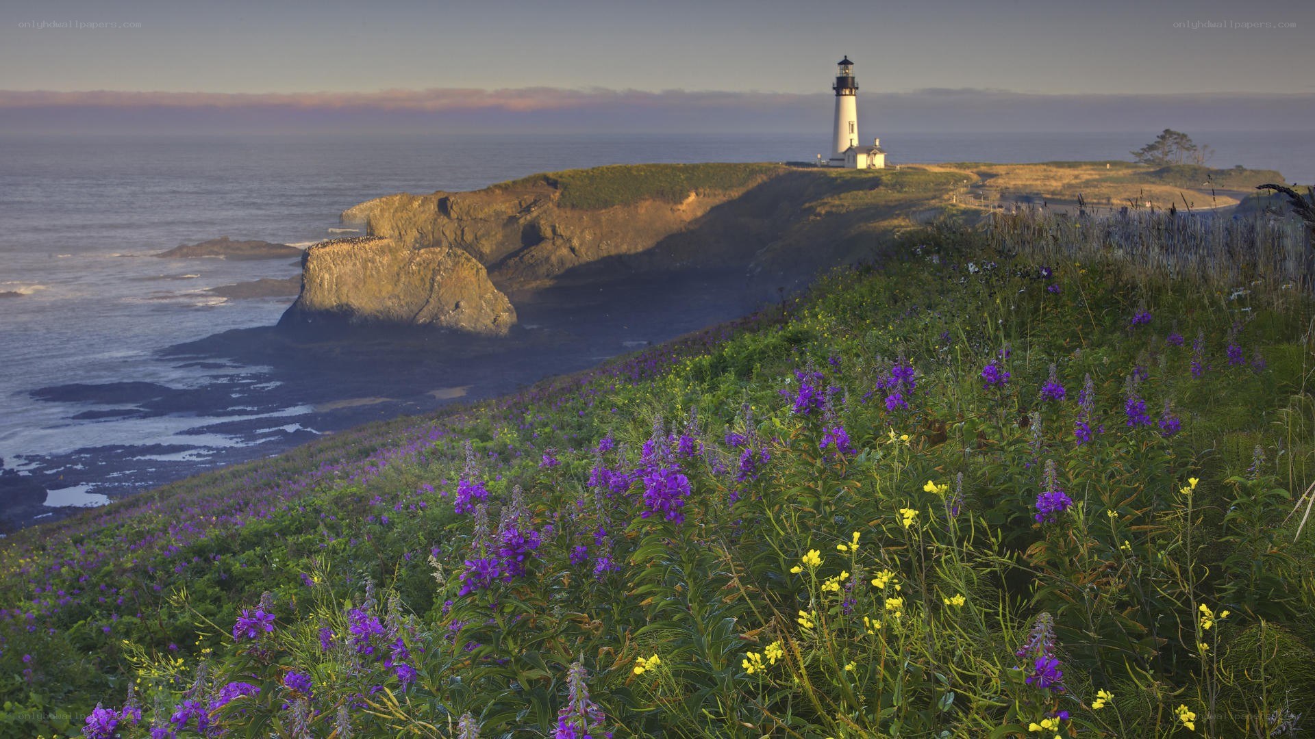 Lighthouse on coastal cliff