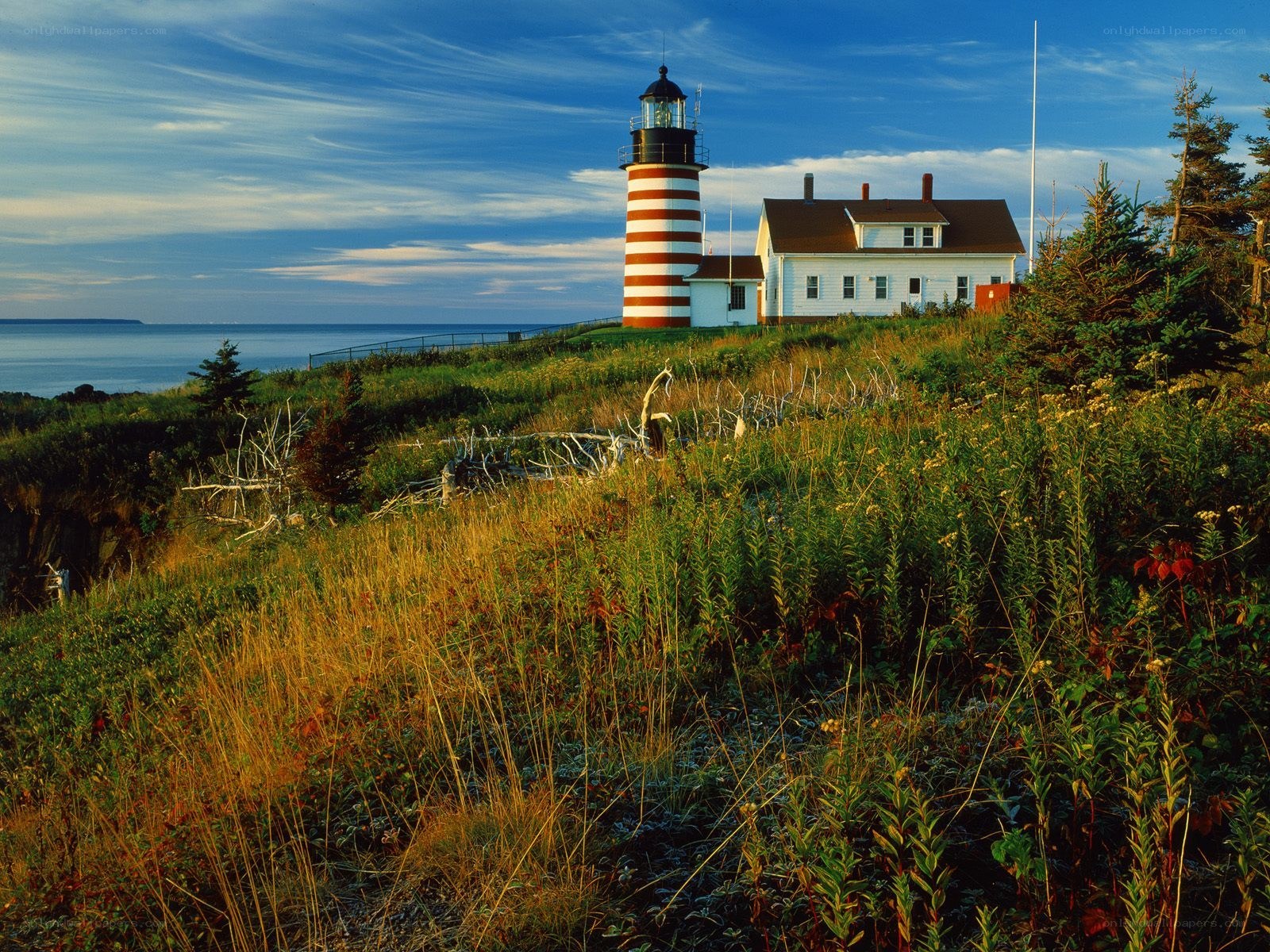 lighthouse on coastal cliff