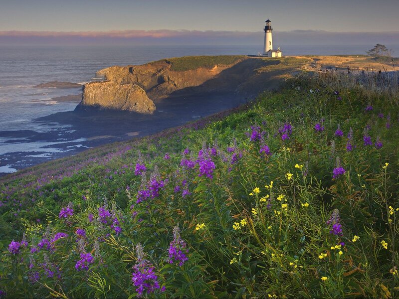 Lighthouse on coastal cliff
