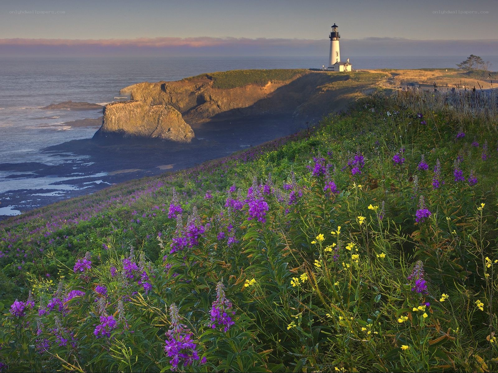 Lighthouse on coastal cliff