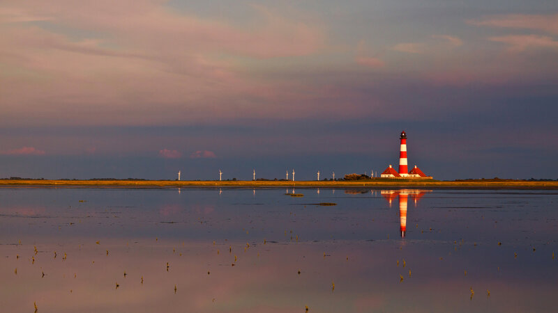 Lighthouse on Coastal Land — Purple