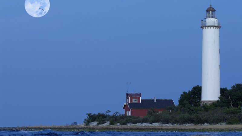 Lighthouse on Coastline — Blue