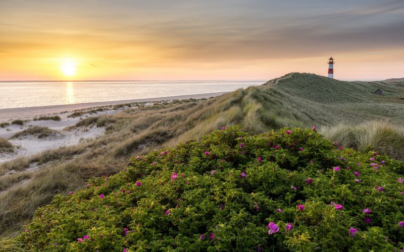 Lighthouse on Dunes — Green
