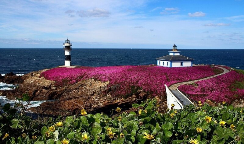 Lighthouse on Flower-covered Cliff — Blue, Serene, Afternoon