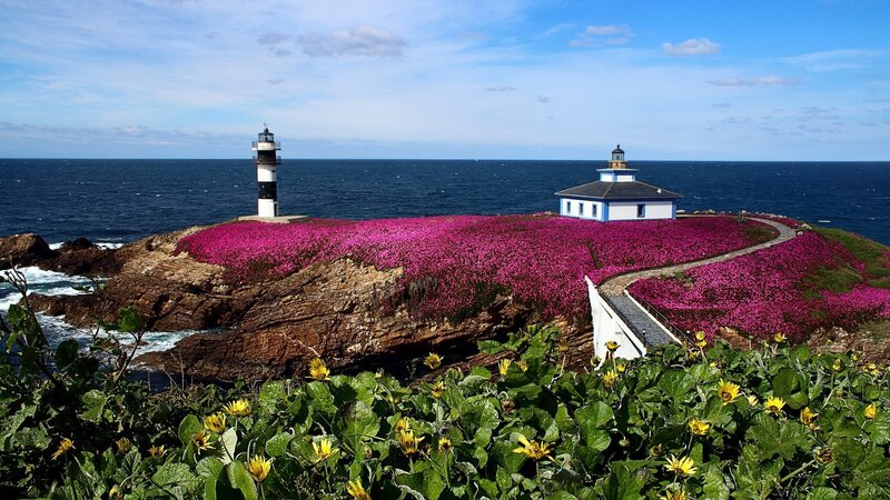 Lighthouse on Flower-covered Cliff — Blue, Serene