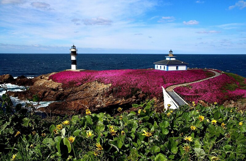 Lighthouse on Flower-covered Cliff — Blue