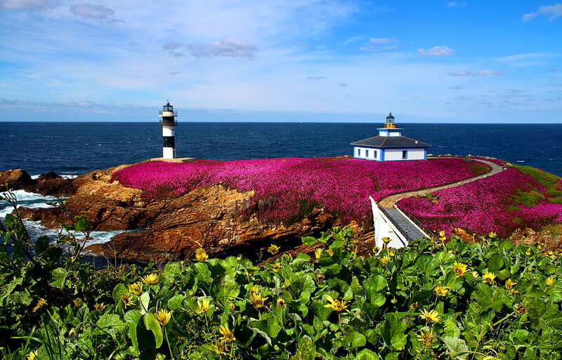 Lighthouse on Flower-covered Cliff
