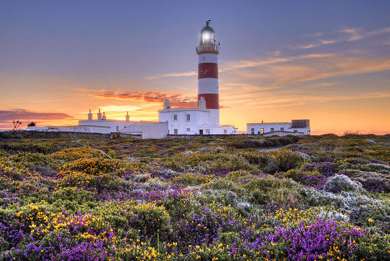 Lighthouse on Flower-covered Hill